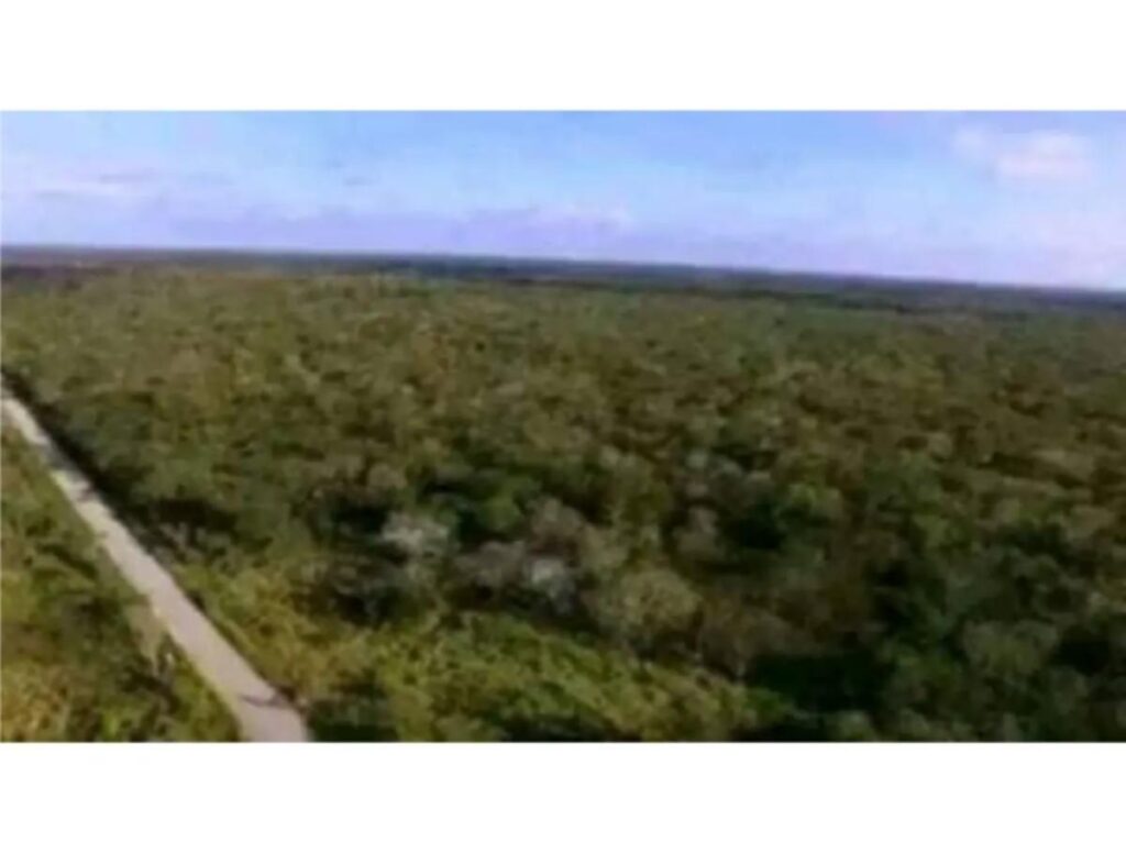 Terreno en venta en Playa Pintada, Cúpira | 425 Hectáreas a 150 metros de la playa